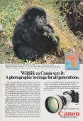 Canon-1982
