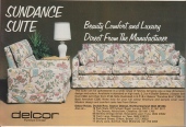 Delcor-1981-ideal-home