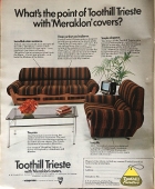 toothill-1973-sunday-times