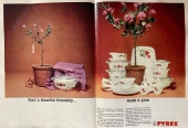 JAJ-Pyrex-1965